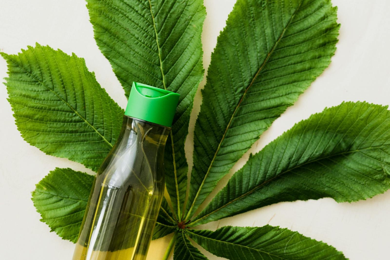 Flacone di olio cosmetico appoggiato su una grande foglia verde